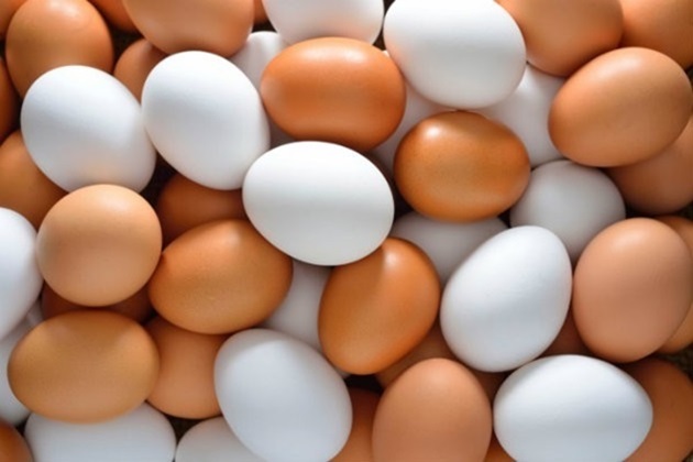 lipidios 1
