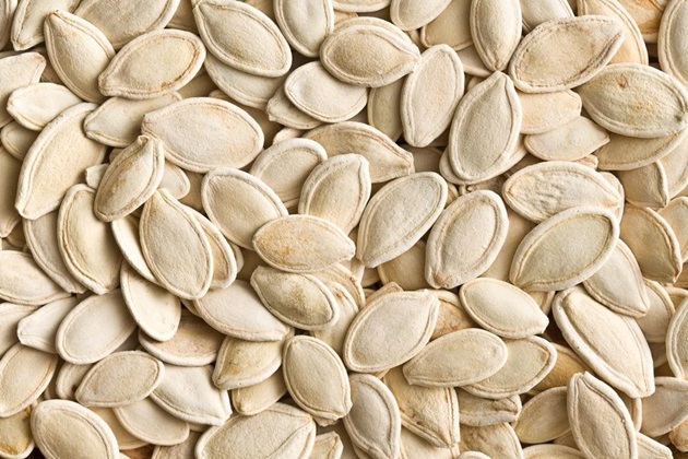 lipidios 2
