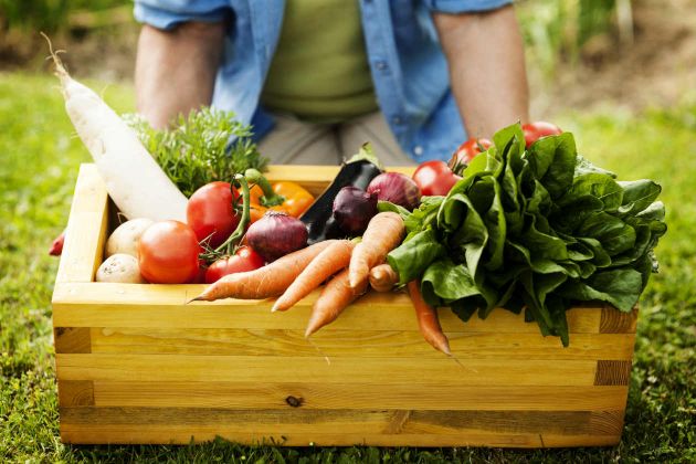 Benefícios de consumir alimentos orgânicos